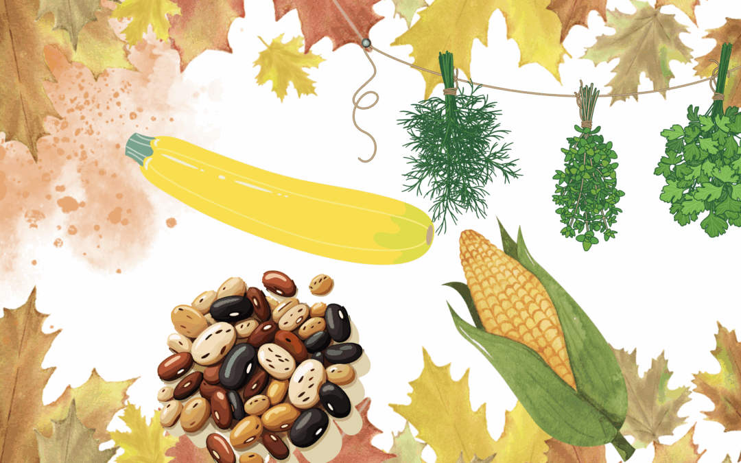 Celebrate Indigenous Peoples